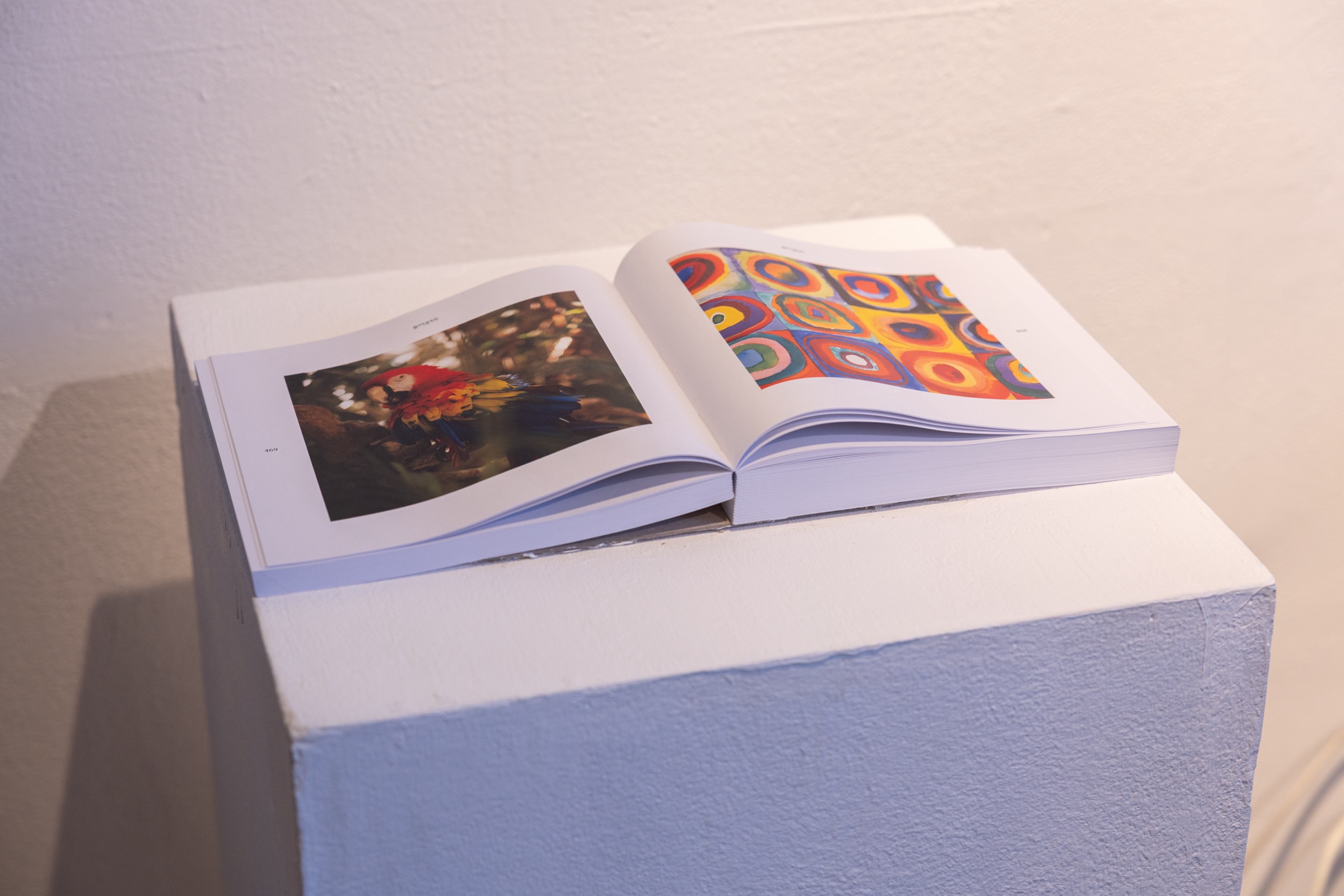 The book open on its plinth: a parrot facing a Kandinsky.