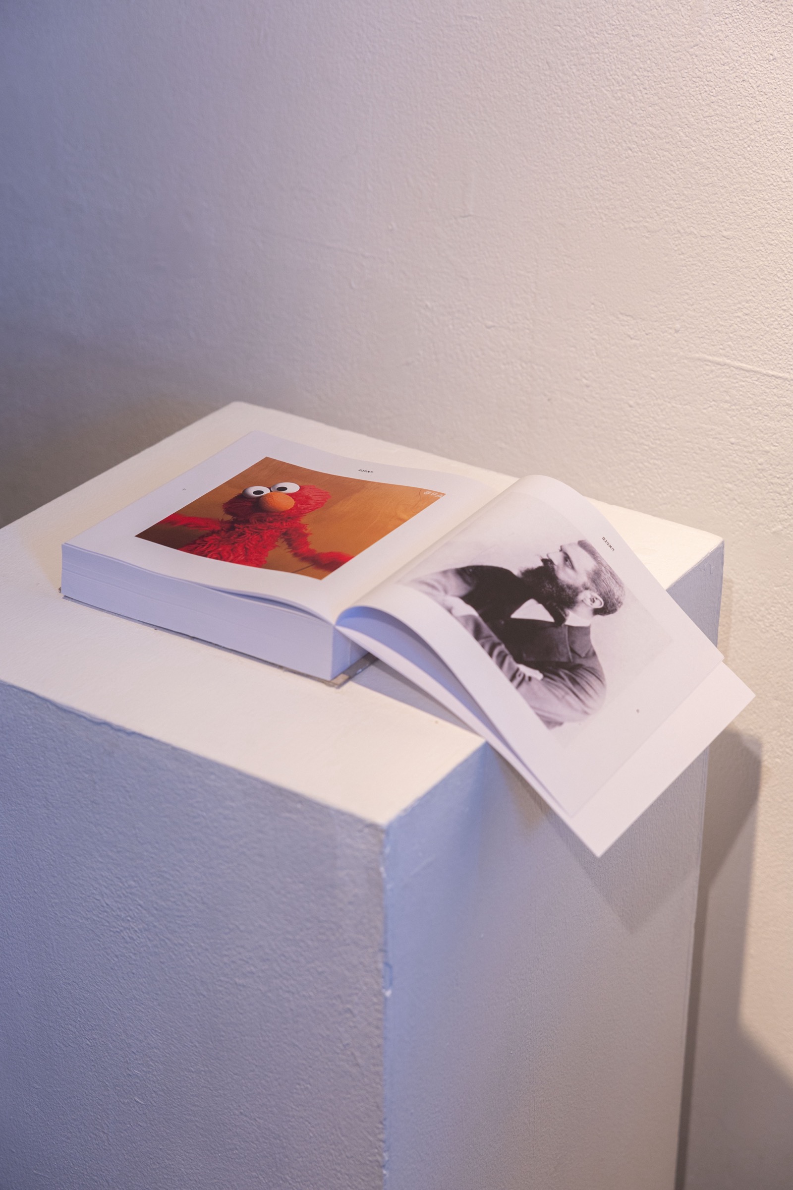A spread from the printed book: Elmo facing Herzl.