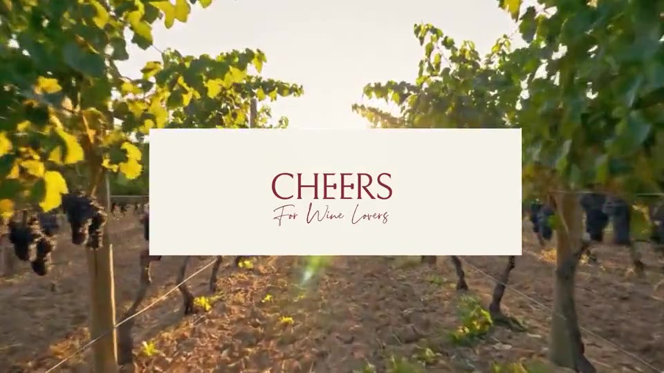 CHEERS, For Wine Lovers: the wordmark over a vineyard.