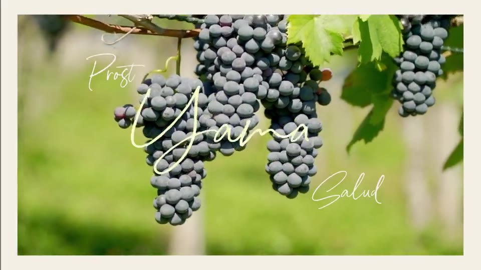 Prost, Yamas, Salud in script over grapes.
