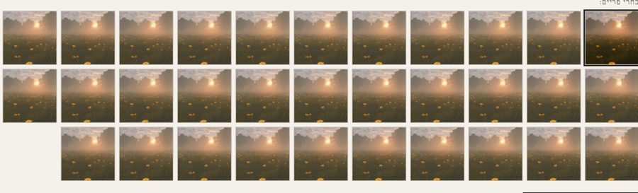 All the frames of a GIF, side by side.