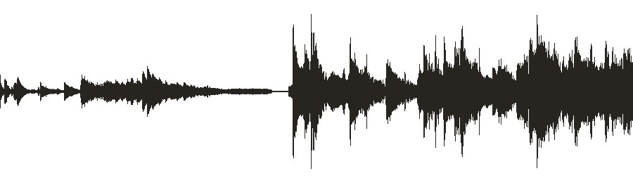 The recording, as a waveform.